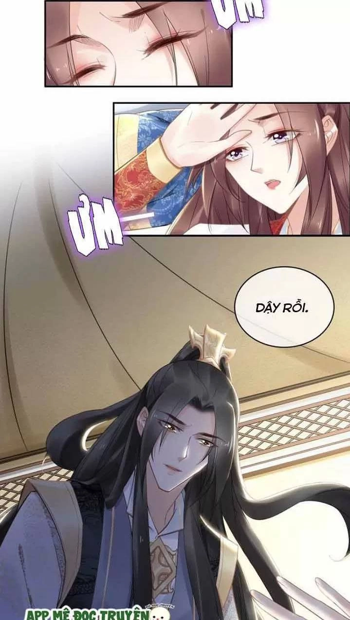 Nhất Sinh Nhất Thế Tiếu Thương Khung Chapter 95 - 15