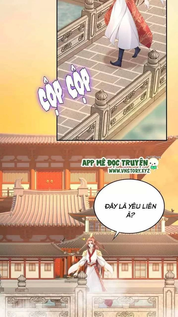 Nhất Sinh Nhất Thế Tiếu Thương Khung Chapter 100 - 25