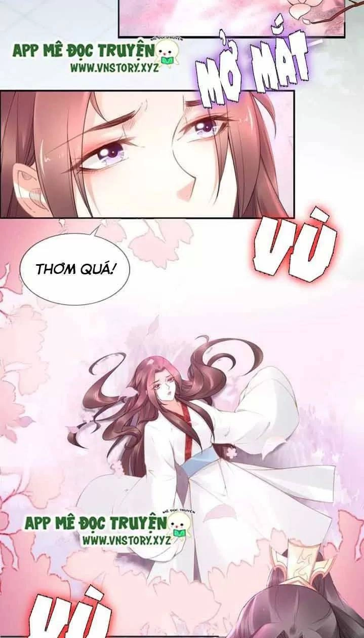 Nhất Sinh Nhất Thế Tiếu Thương Khung Chapter 101 - 16