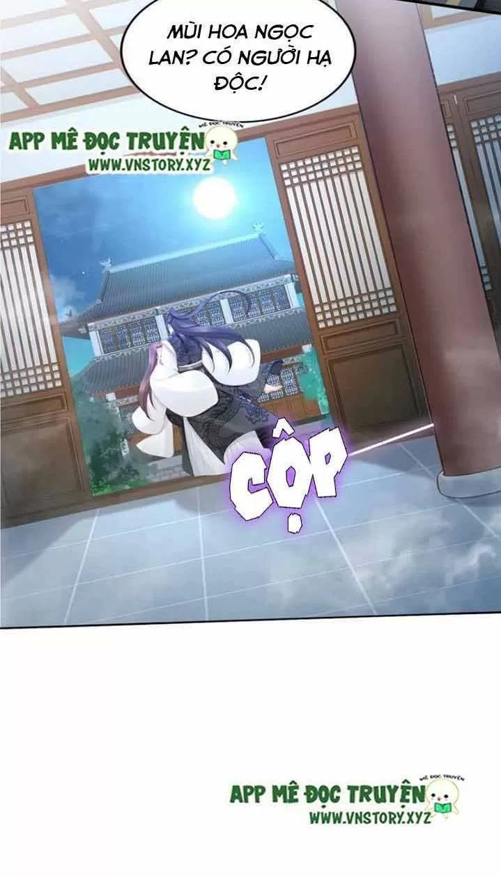 Nhất Sinh Nhất Thế Tiếu Thương Khung Chapter 101 - 20