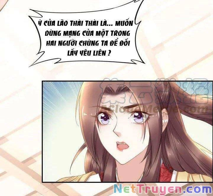 Nhất Sinh Nhất Thế Tiếu Thương Khung Chapter 102 - 8