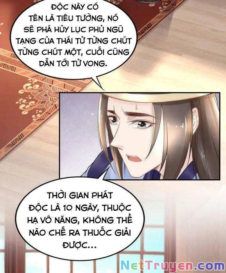 Nhất Sinh Nhất Thế Tiếu Thương Khung Chapter 102 - 31