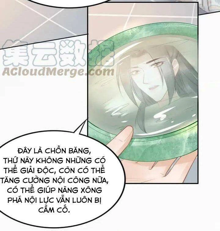 Nhất Sinh Nhất Thế Tiếu Thương Khung Chapter 105 - 4