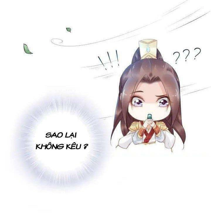 Nhất Sinh Nhất Thế Tiếu Thương Khung Chapter 108 - 5