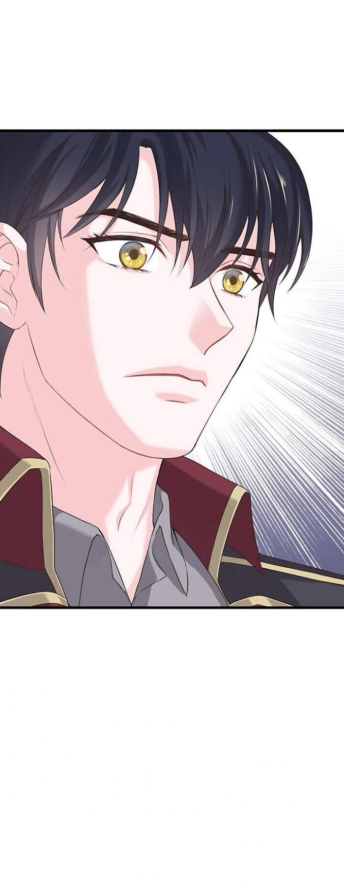 Nhân Vật Phản Diện Yêu Cầu Tôi Yêu Chàng Chapter 28 - 74