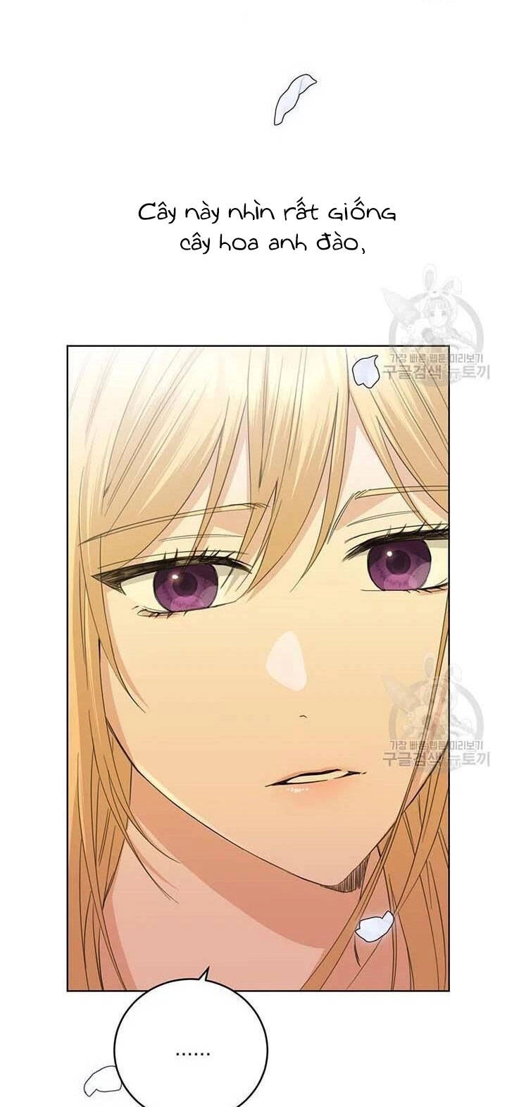 Tôi Không Còn Yêu Anh Nữa Chapter 49 - 12