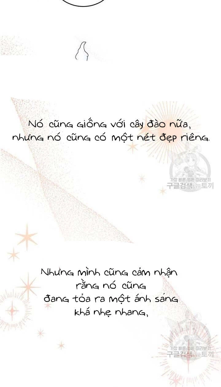 Tôi Không Còn Yêu Anh Nữa Chapter 49 - 13