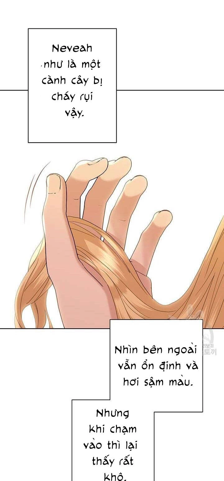 Tôi Không Còn Yêu Anh Nữa Chapter 50 - 11