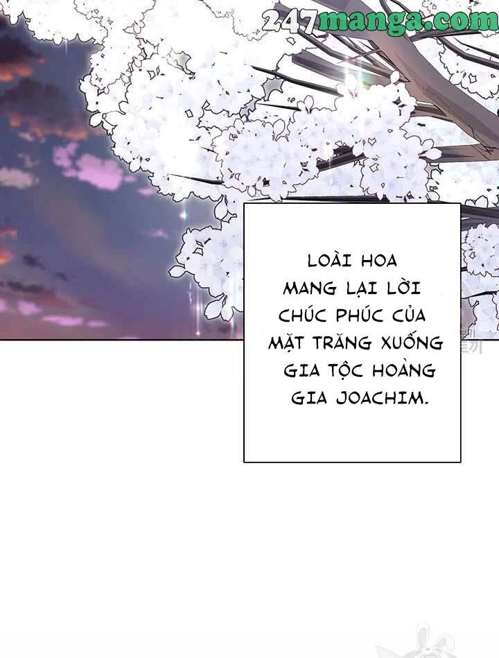 Tôi Không Còn Yêu Anh Nữa Chapter 50 - 34