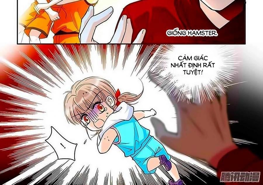 Thanh Ninh Chi Hạ Chapter 27 - 3