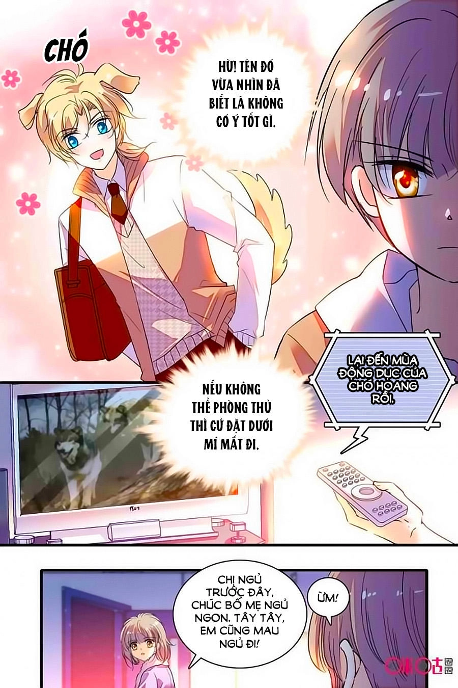 Thanh Ninh Chi Hạ Chapter 242 - 5