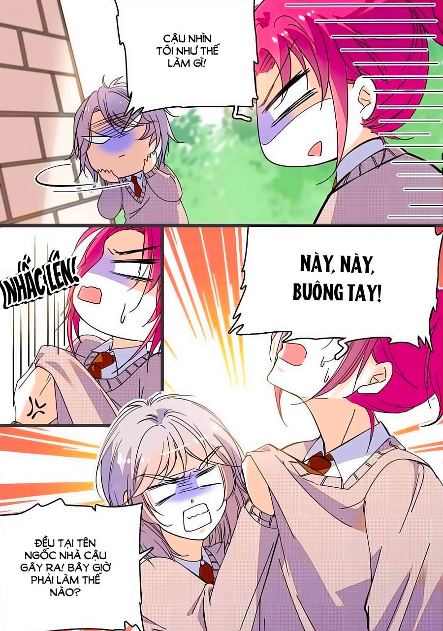 Thanh Ninh Chi Hạ Chapter 310 - 1