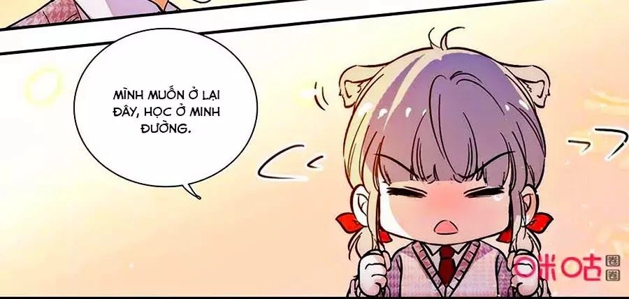 Thanh Ninh Chi Hạ Chapter 430 - 18