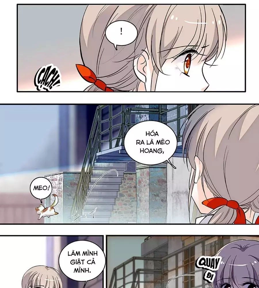 Thanh Ninh Chi Hạ Chapter 439 - 3