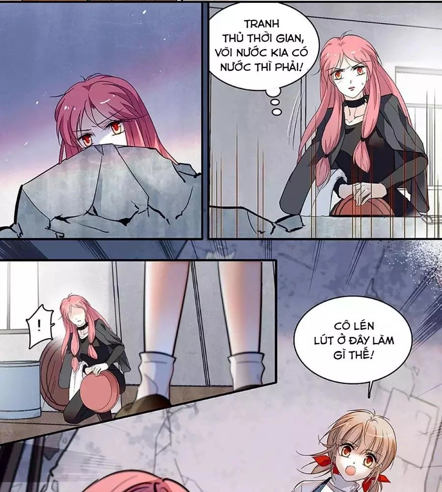 Thanh Ninh Chi Hạ Chapter 439 - 5