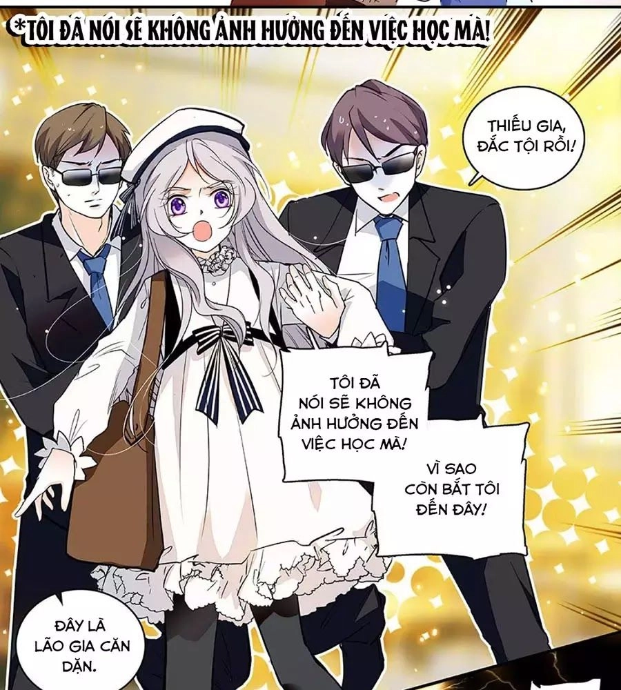 Thanh Ninh Chi Hạ Chapter 439 - 11