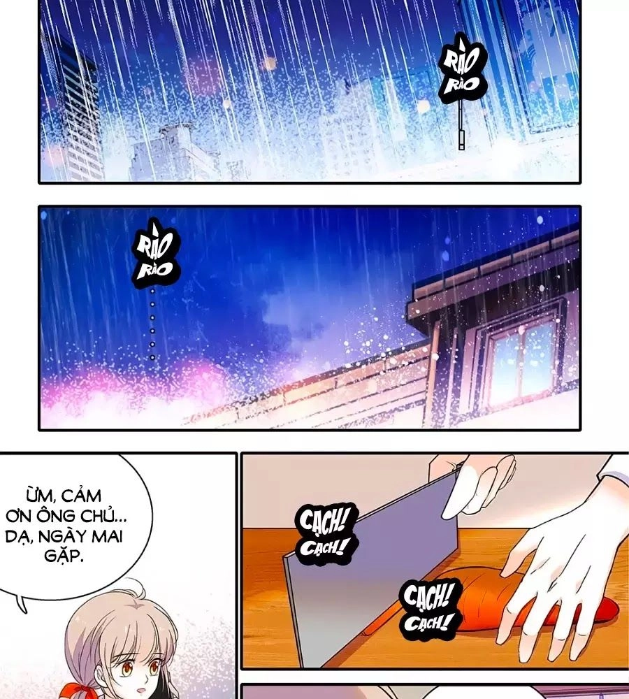 Thanh Ninh Chi Hạ Chapter 441 - 8