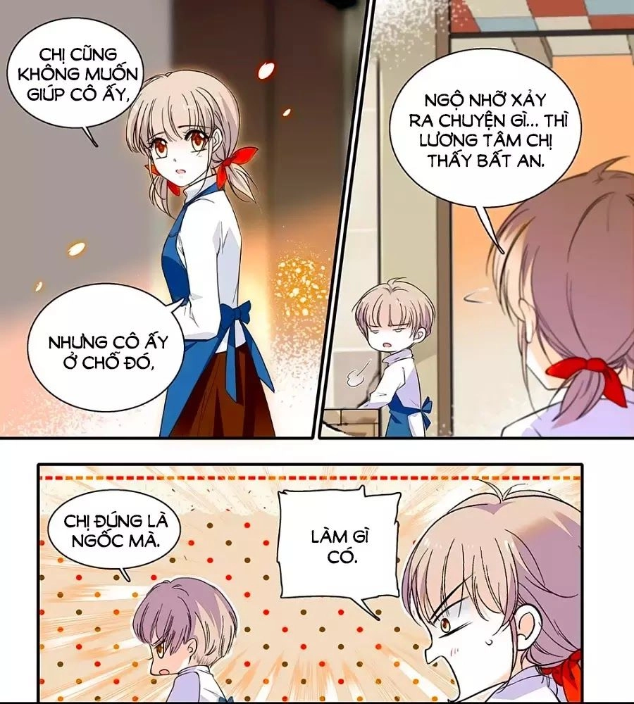 Thanh Ninh Chi Hạ Chapter 441 - 10