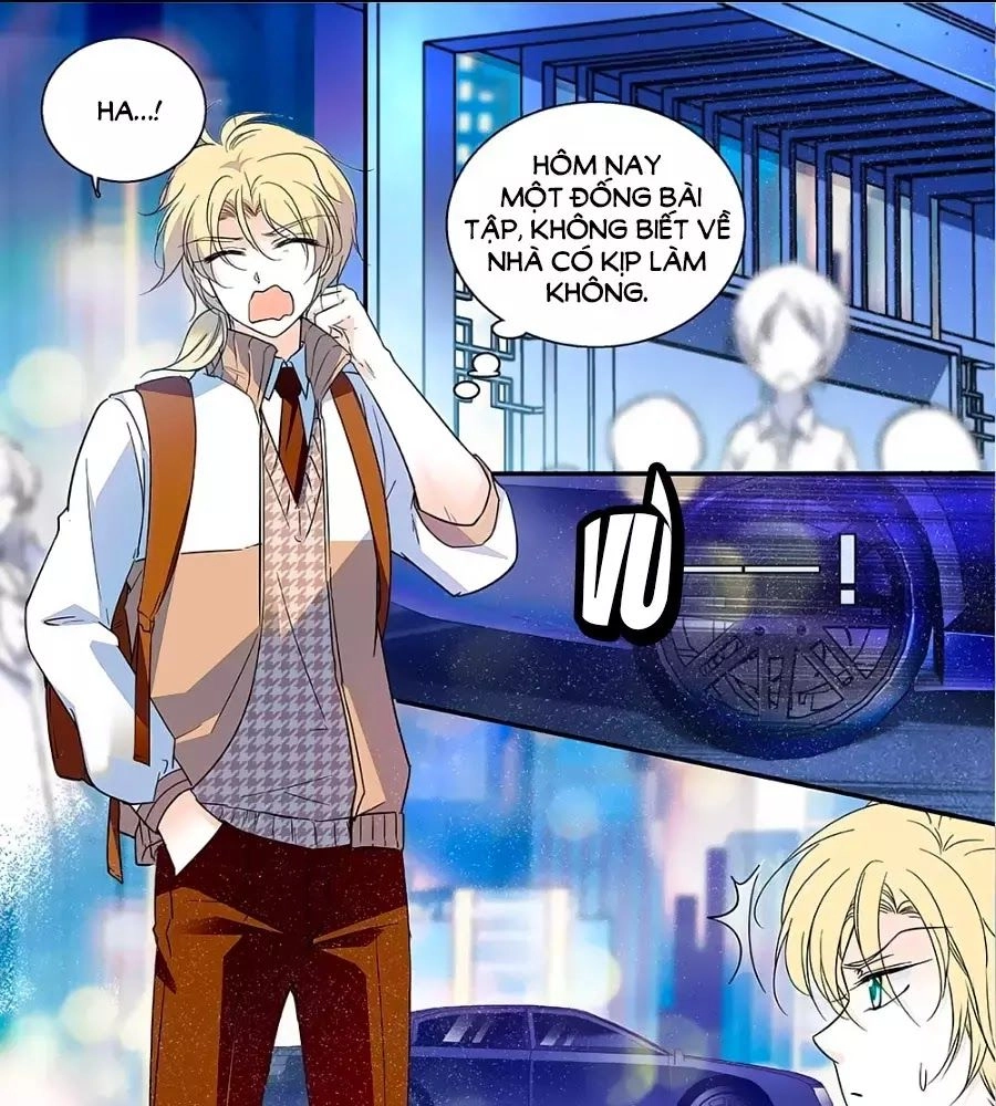 Thanh Ninh Chi Hạ Chapter 442 - 1