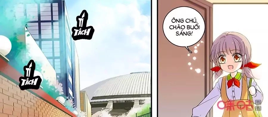 Thanh Ninh Chi Hạ Chapter 442 - 10