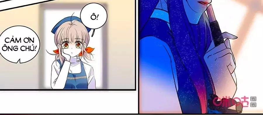 Thanh Ninh Chi Hạ Chapter 442 - 16