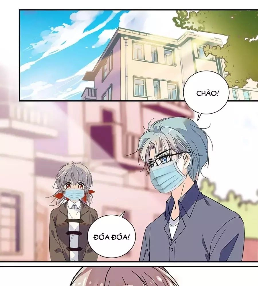 Thanh Ninh Chi Hạ Chapter 443 - 1