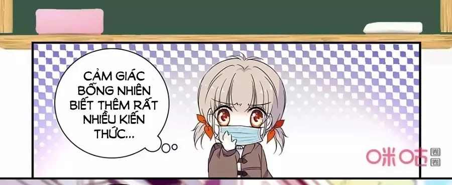 Thanh Ninh Chi Hạ Chapter 443 - 12