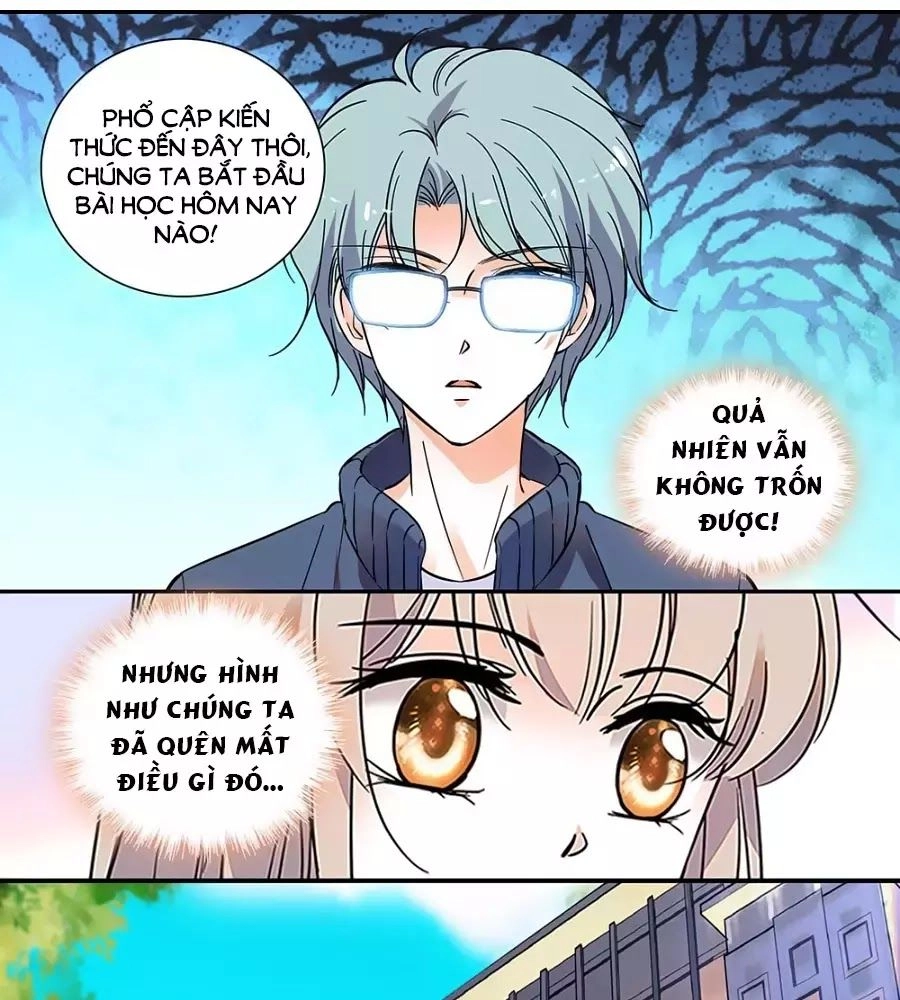 Thanh Ninh Chi Hạ Chapter 444 - 19