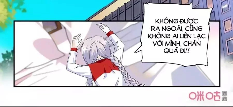 Thanh Ninh Chi Hạ Chapter 444 - 20