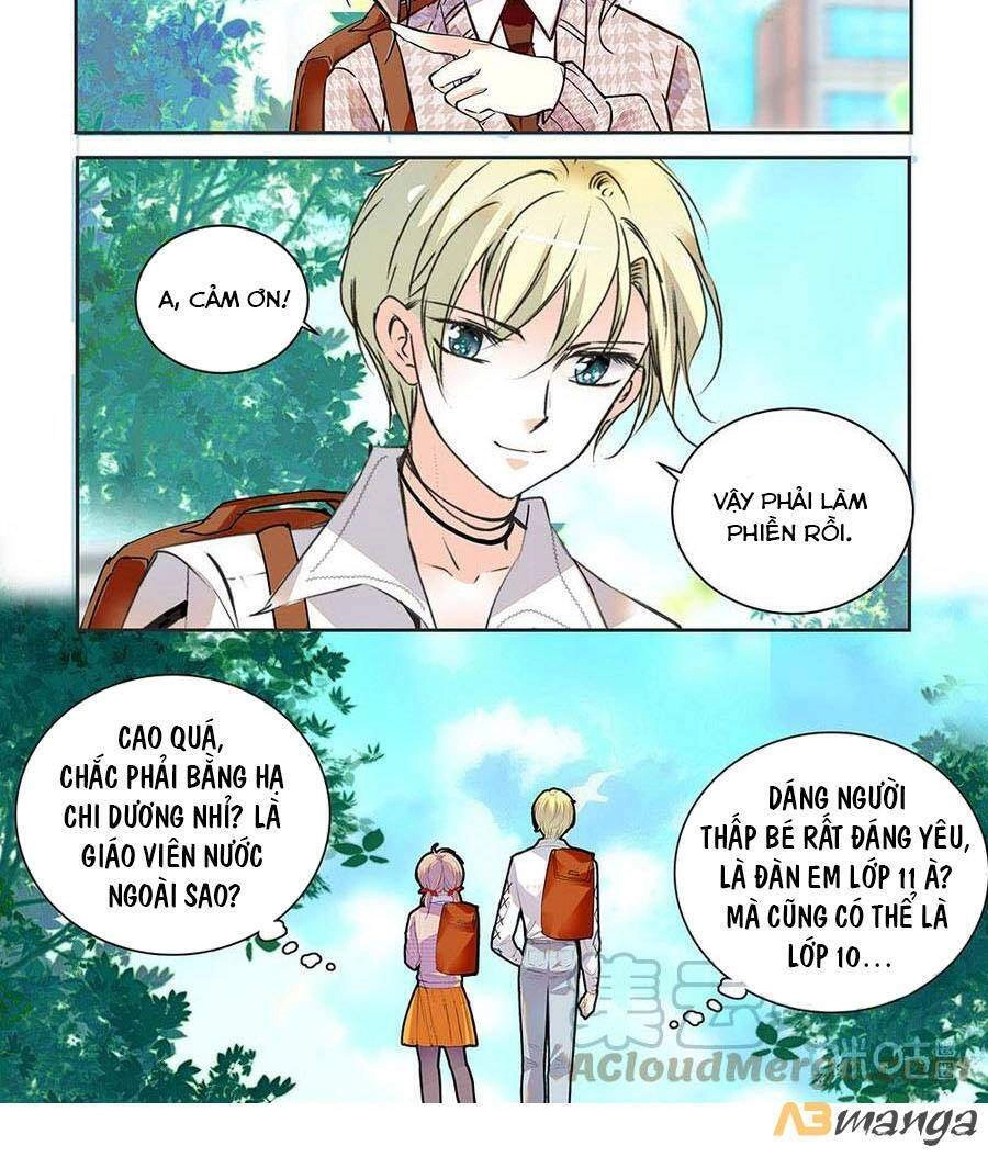 Thanh Ninh Chi Hạ Chapter 482 - 5
