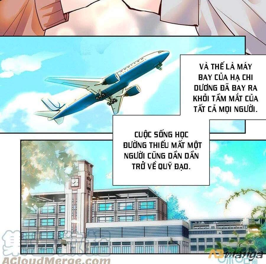 Thanh Ninh Chi Hạ Chapter 484 - 5