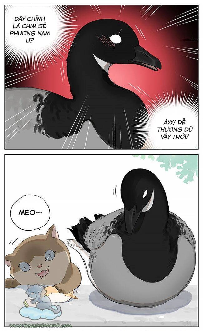 Chim Sẻ Gọi Ngỗng Trời Chapter 1 - 3