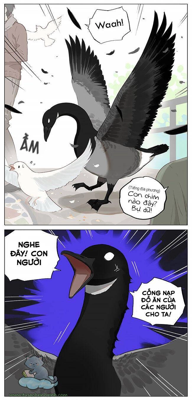 Chim Sẻ Gọi Ngỗng Trời Chapter 2 - 4