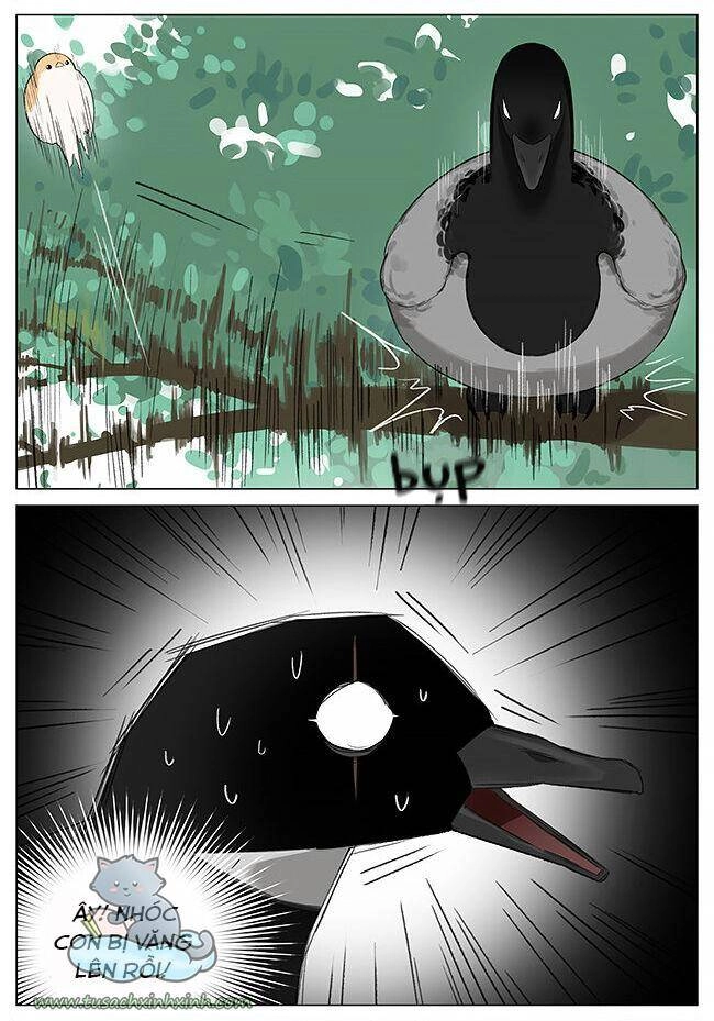 Chim Sẻ Gọi Ngỗng Trời Chapter 7 - 5