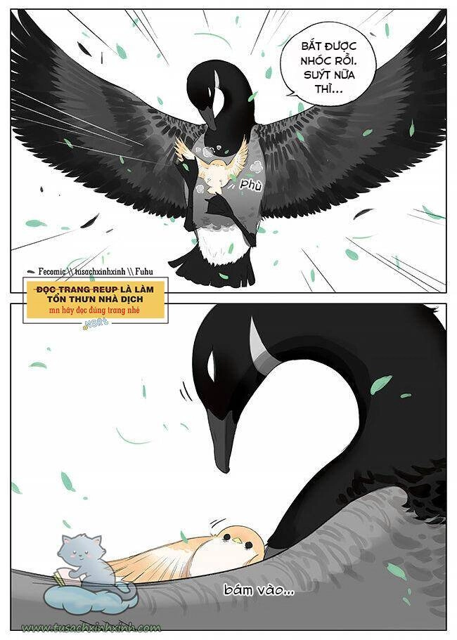 Chim Sẻ Gọi Ngỗng Trời Chapter 7 - 8