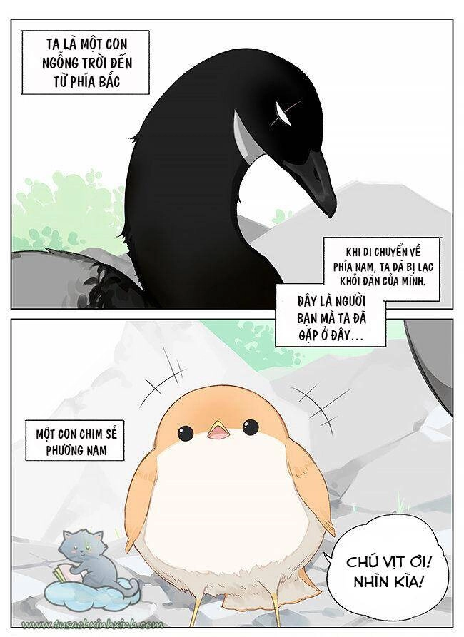 Chim Sẻ Gọi Ngỗng Trời Chapter 8 - 2