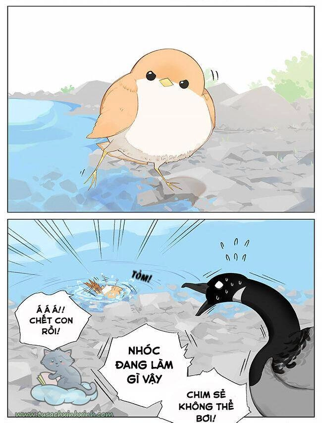 Chim Sẻ Gọi Ngỗng Trời Chapter 8 - 4