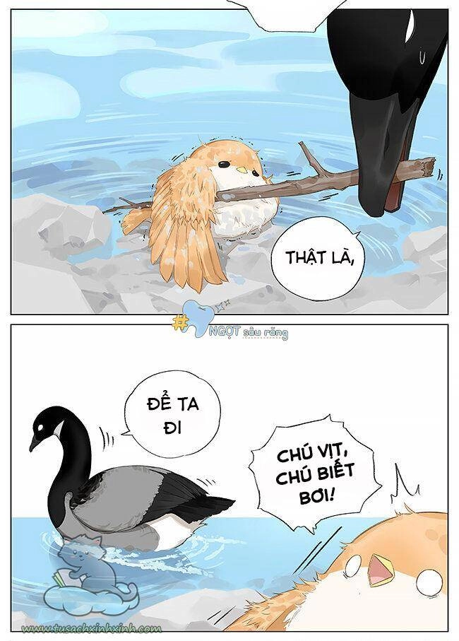 Chim Sẻ Gọi Ngỗng Trời Chapter 8 - 5