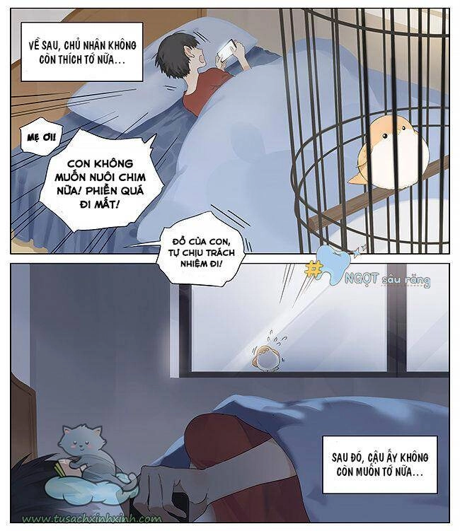 Chim Sẻ Gọi Ngỗng Trời Chapter 10 - 3