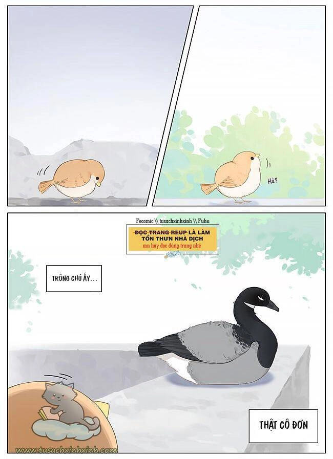 Chim Sẻ Gọi Ngỗng Trời Chapter 10 - 9