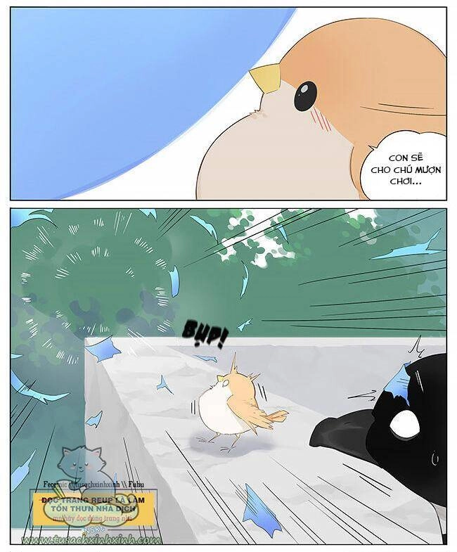 Chim Sẻ Gọi Ngỗng Trời Chapter 11 - 3