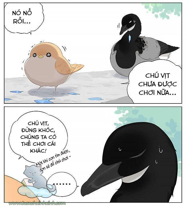 Chim Sẻ Gọi Ngỗng Trời Chapter 11 - 4