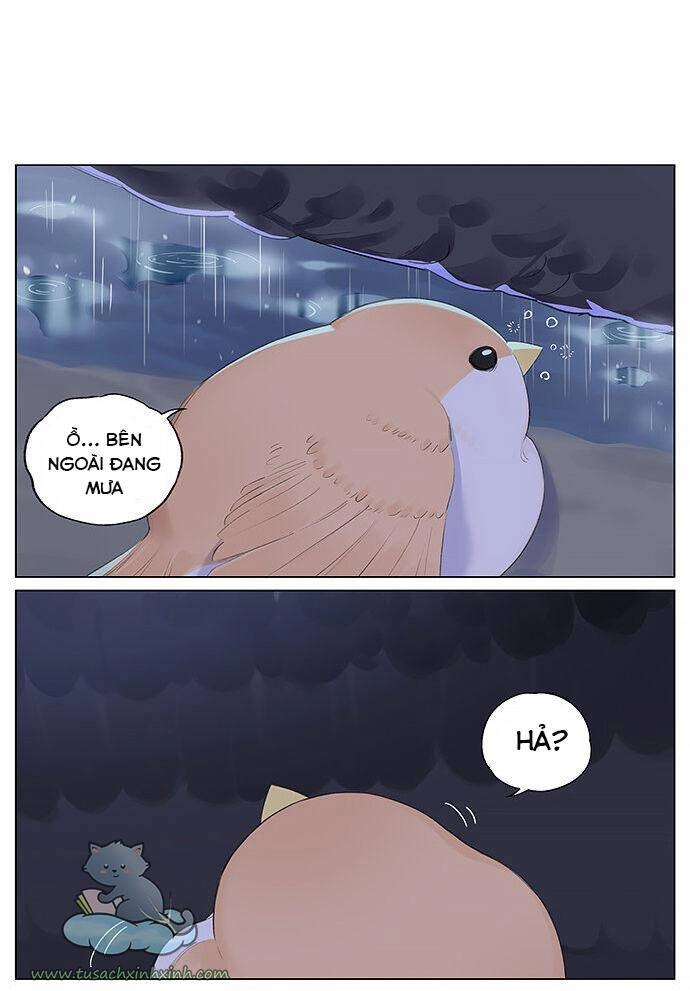 Chim Sẻ Gọi Ngỗng Trời Chapter 12 - 4