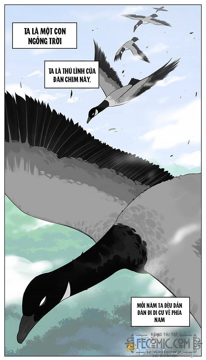 Chim Sẻ Gọi Ngỗng Trời Chapter 16 - 2