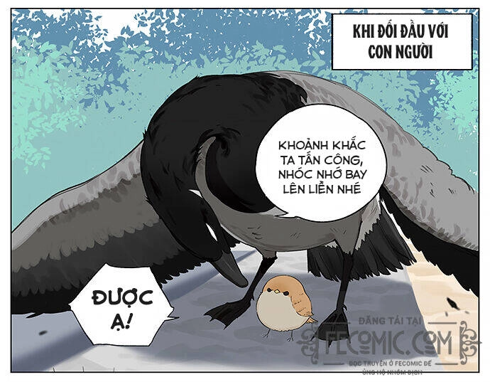 Chim Sẻ Gọi Ngỗng Trời Chapter 17 - 3