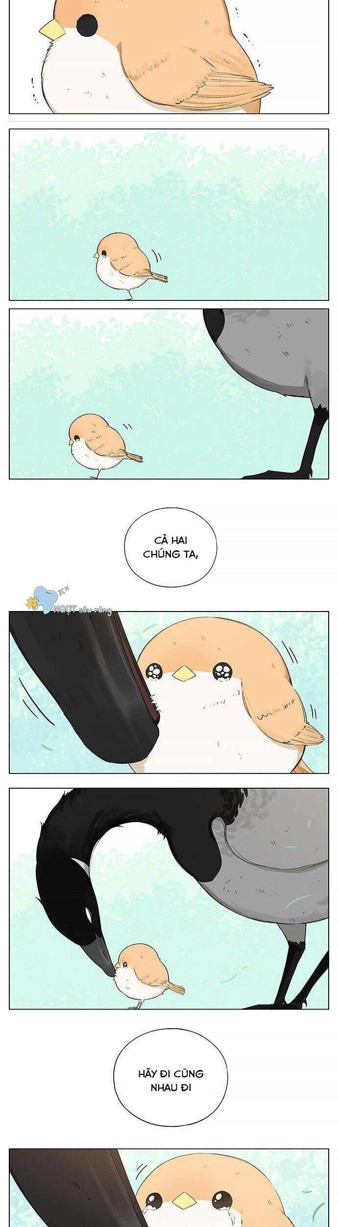 Chim Sẻ Gọi Ngỗng Trời Chapter 19 - 4