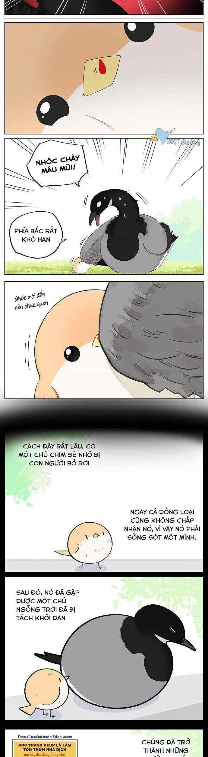 Chim Sẻ Gọi Ngỗng Trời Chapter 20 - 2