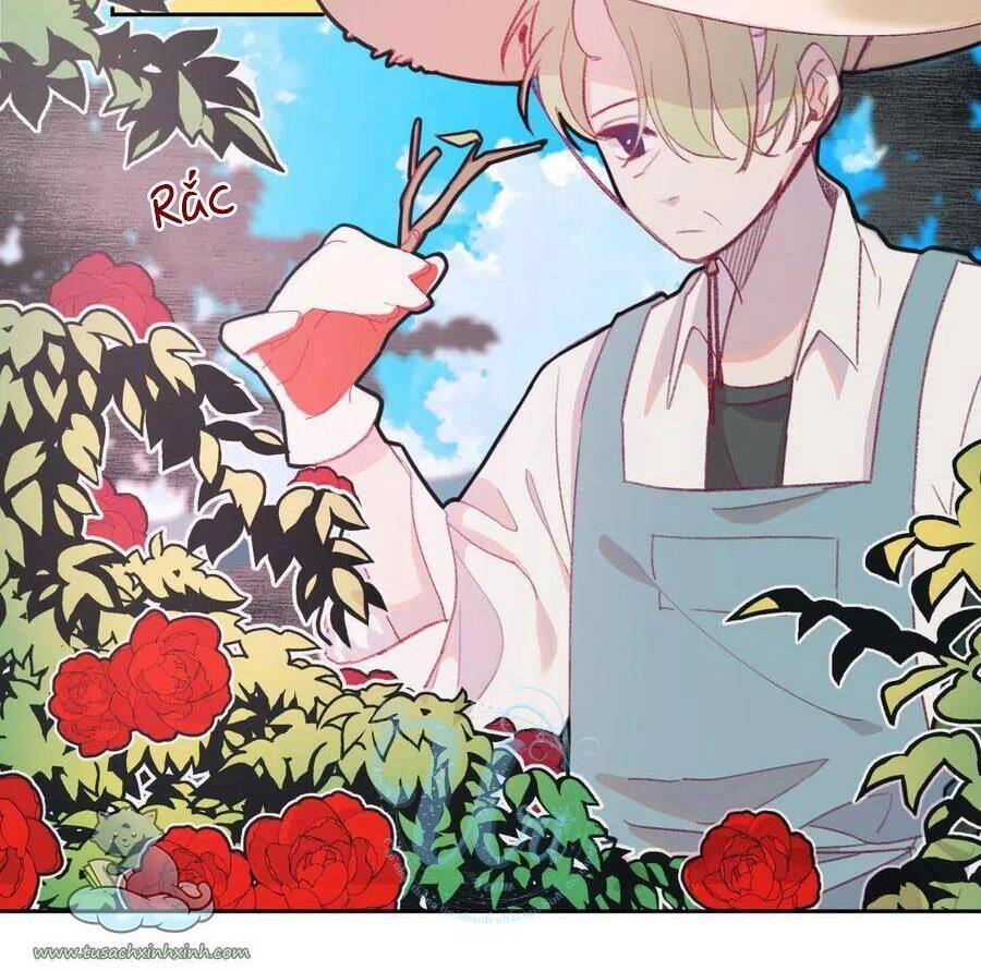 Nhật Ký Nấm Ma Cô Chapter 10 - 14