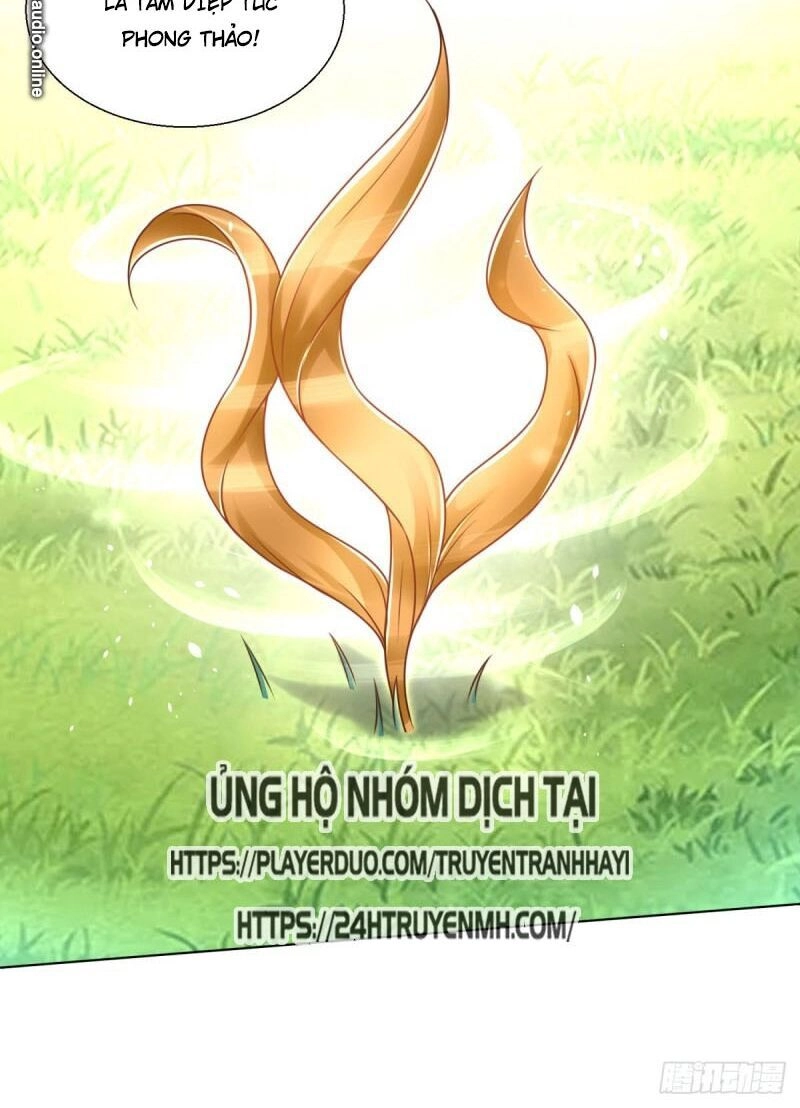 Chí Tôn Trọng Sinh Chapter 88 - 34