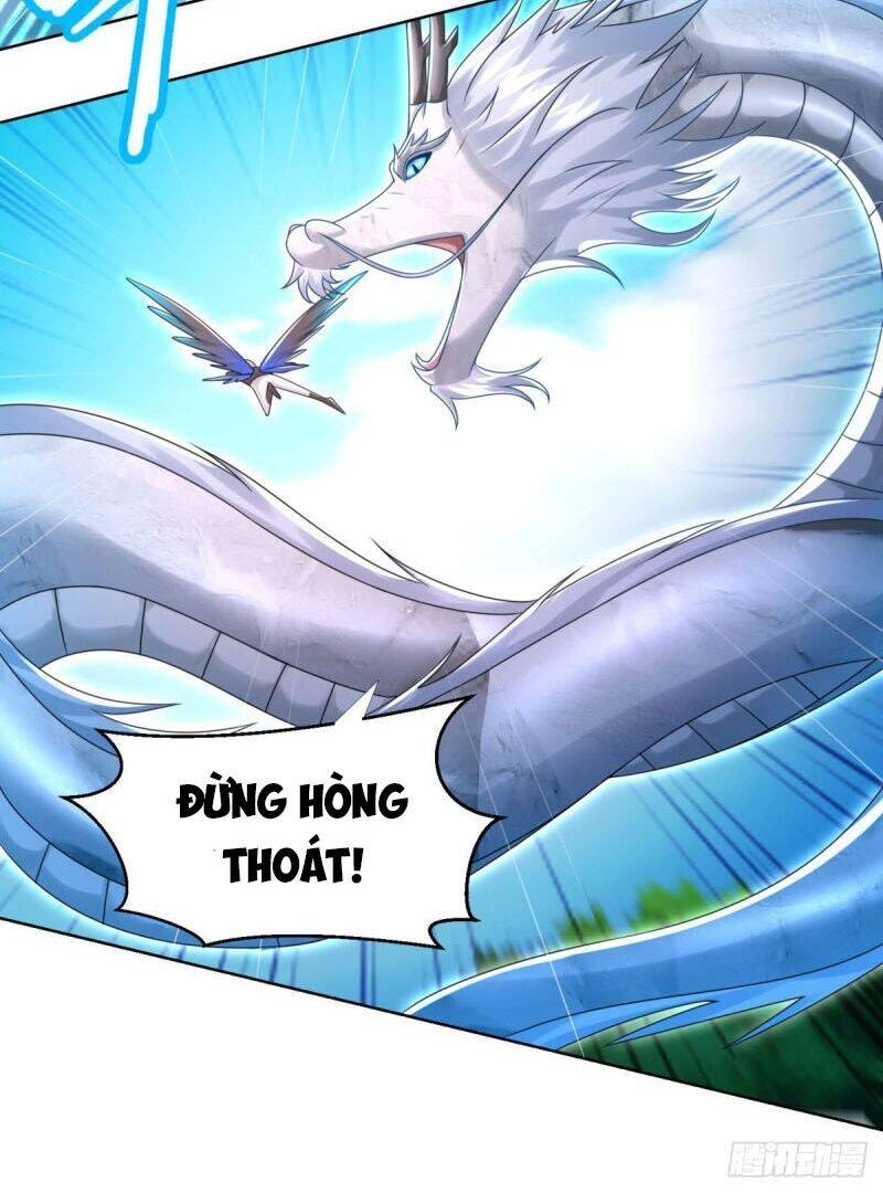 Chí Tôn Trọng Sinh Chapter 101 - 13